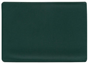 Insurance Card Holder