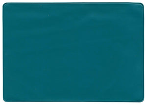 Insurance Card Holder