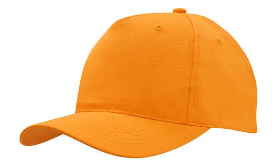 5 Panel Budget Cap