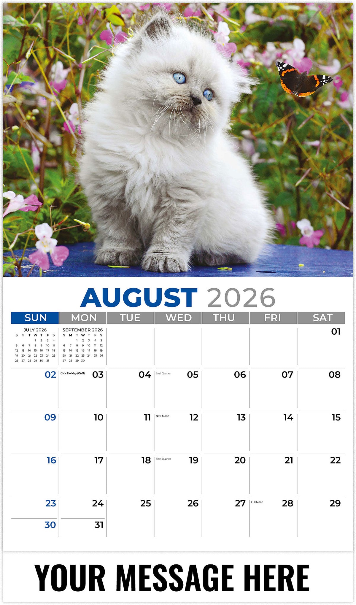 Kittens 2026 August