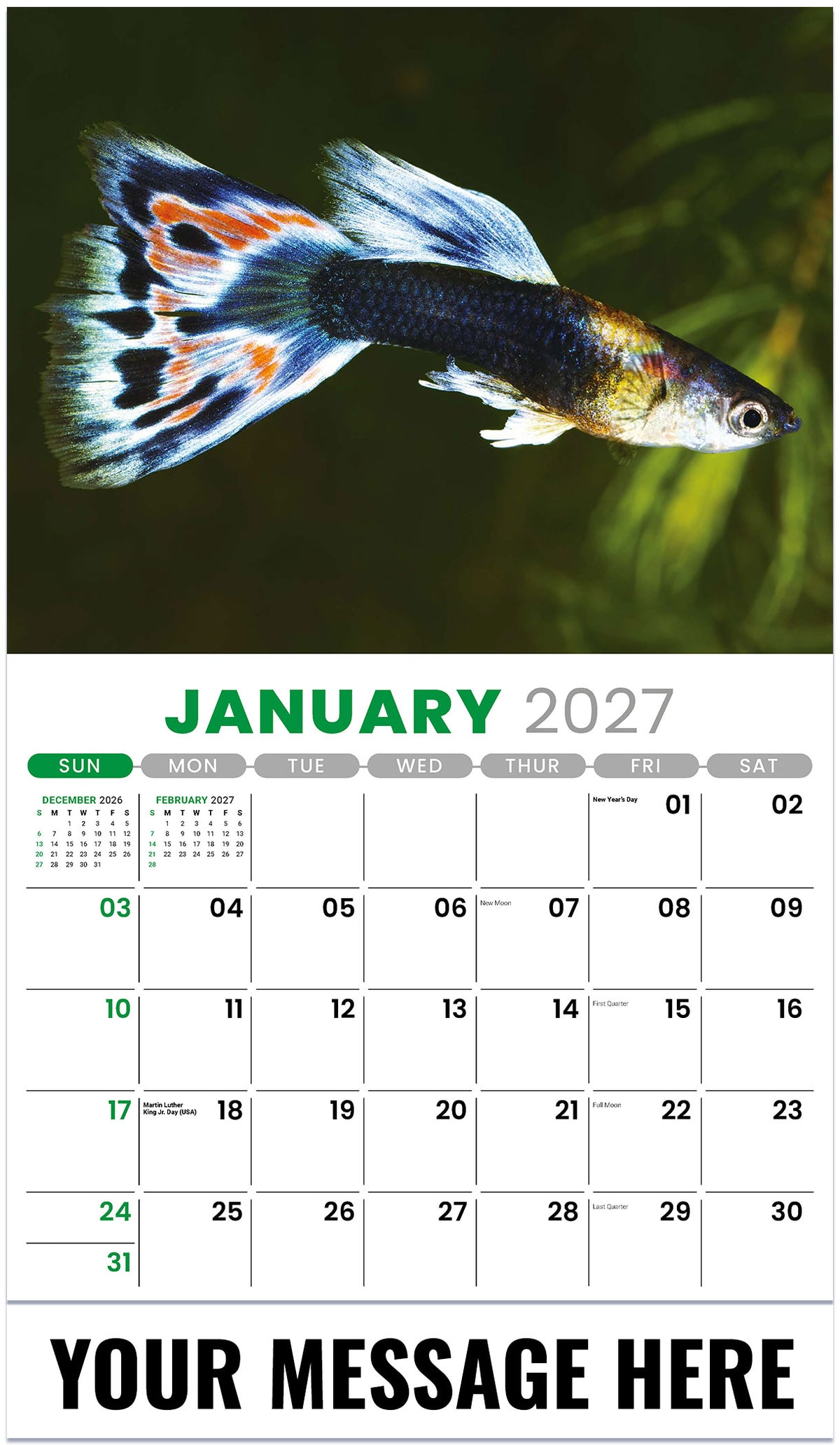 Pets 2027 January