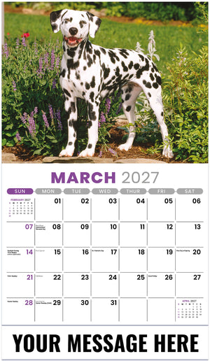 Pets 2027 March