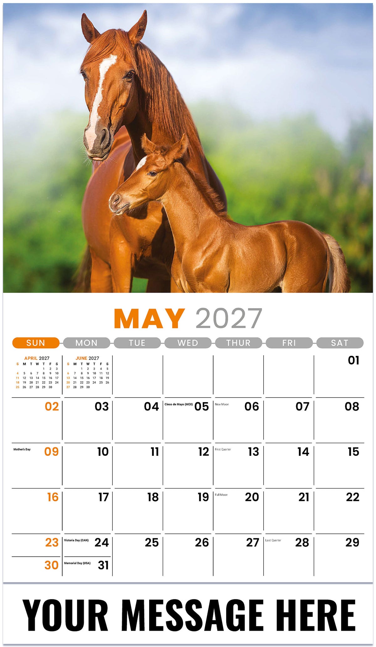 Pets 2027 May