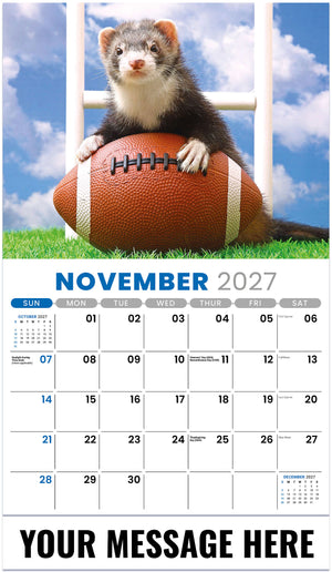 Pets 2027 November