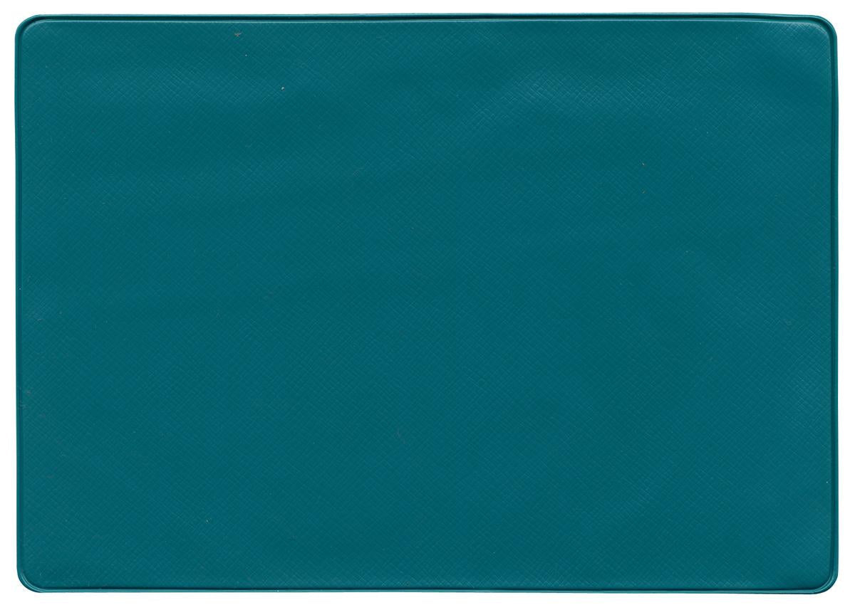 Insurance Card Holder - Teal