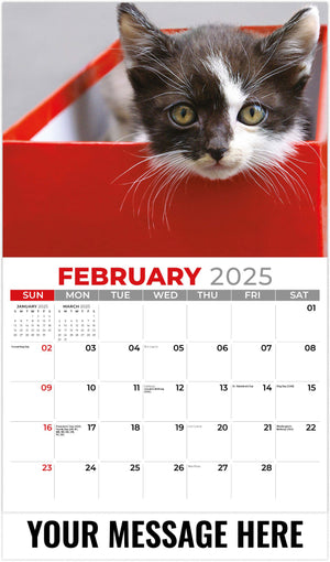 Galleria Kittens - 2025 Promotional Calendar