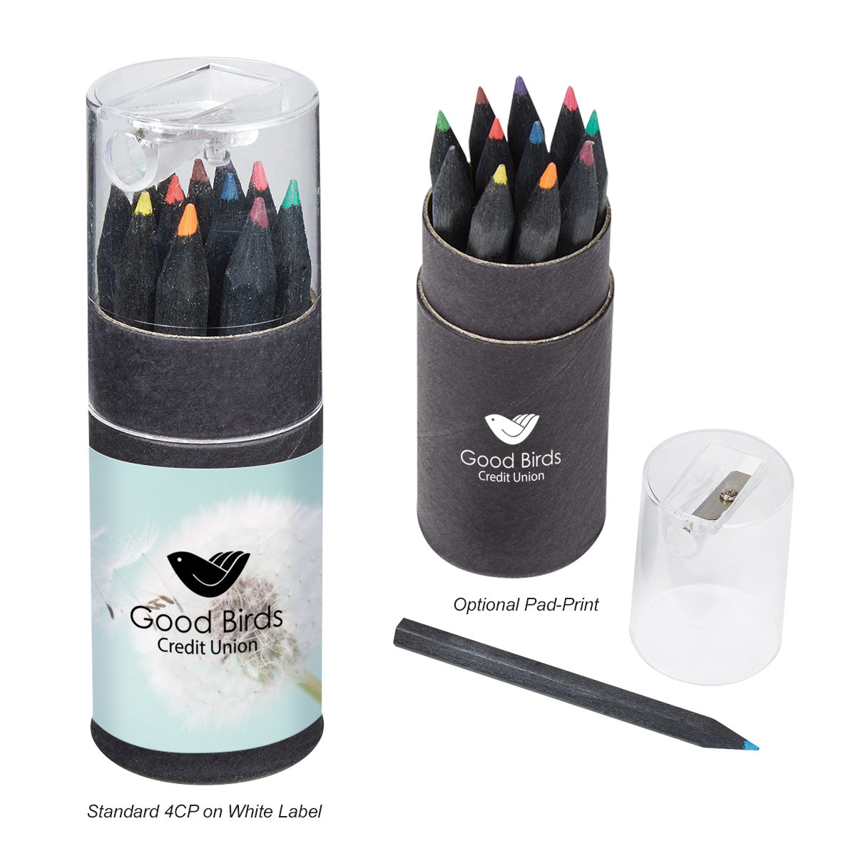 Blackwood 12-Piece Coloured Pencil Set In Tube With Sharpener