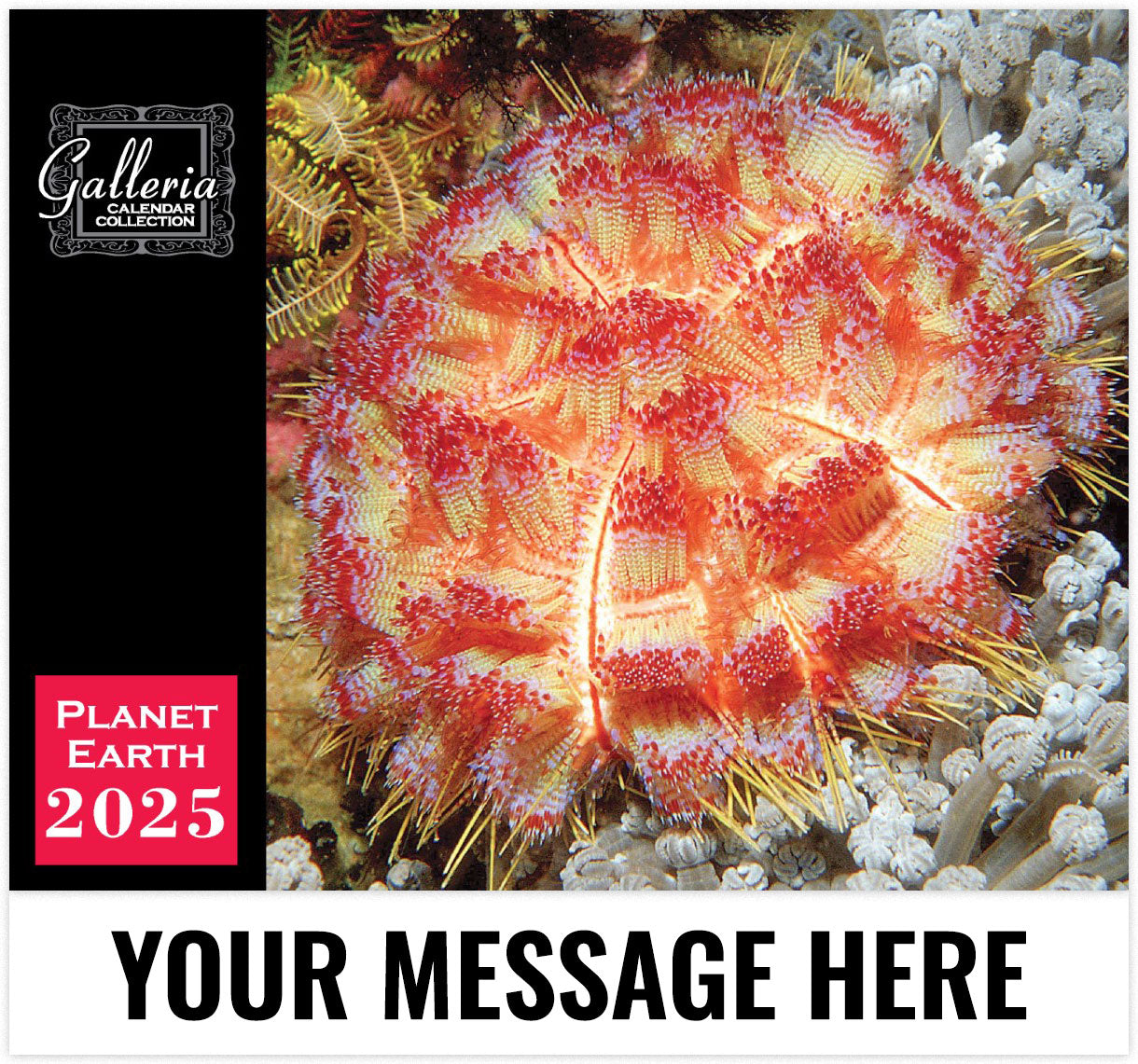 Galleria Planet Earth - 2025 Promotional Calendar