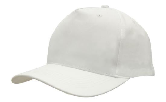 5 Panel Budget Cap