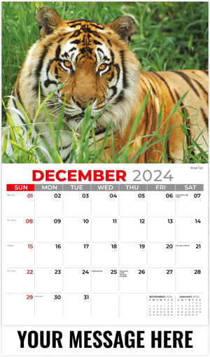 Galleria International Wildlife - 2025 Promotional Calendar