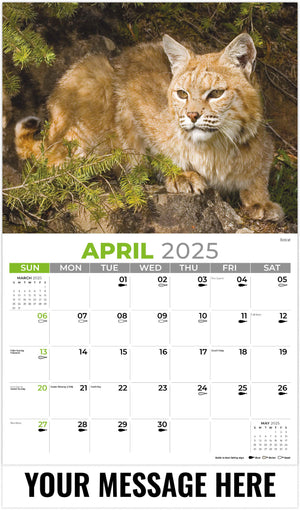 Galleria North American Wildlife - 2025 Promotional Calendar